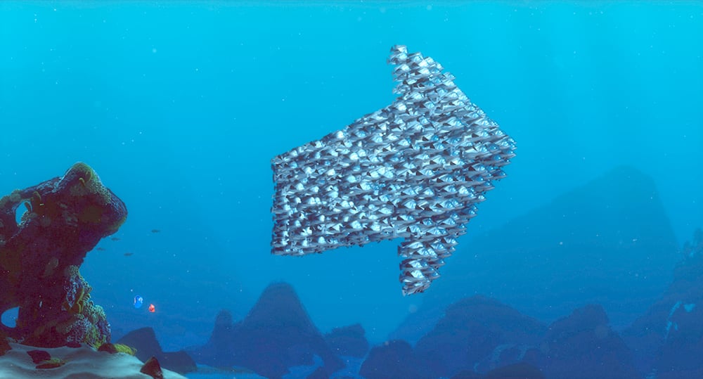 Tout comme un banc de poissons doit nager ensemble pour atteindre un but commun, ta stratégie doit être partagée et comprise par tous dans ton organisation