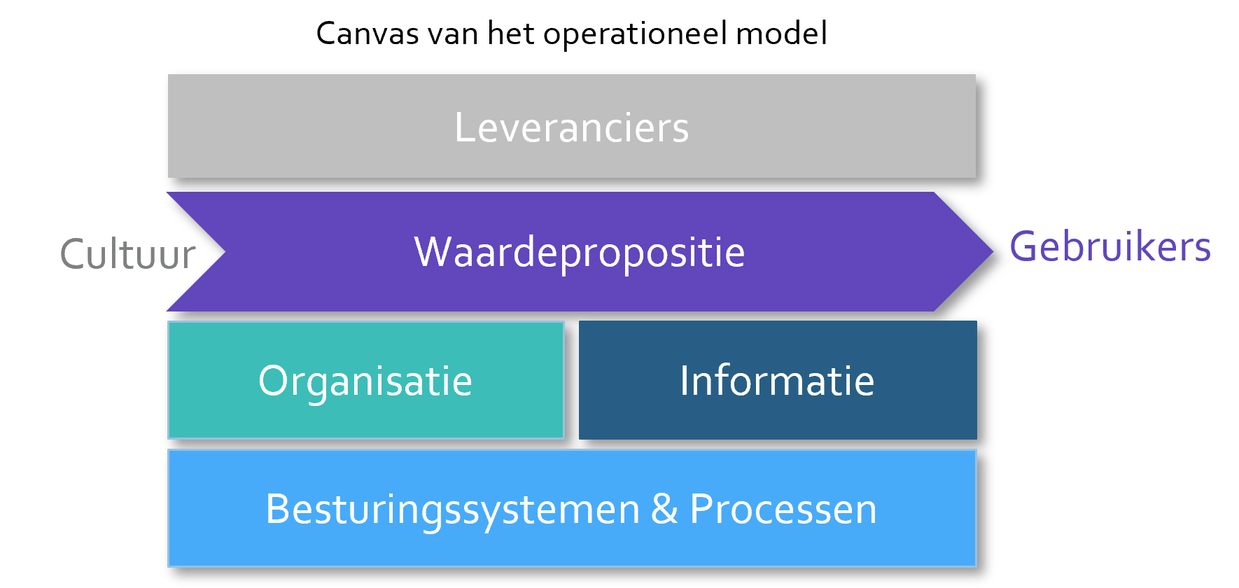Canvas operationeel model_RIZIV case
