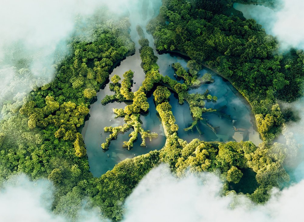 conceptual-image-showing-lung-shaped-lake-lush-pristine-jungle-3d-rendering-1