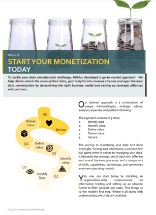 Mini-guide Data Monetisation_preview1