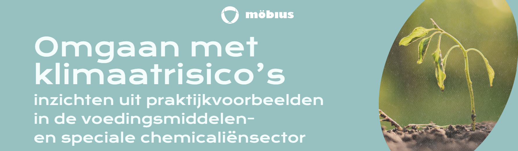banner-klimaatrisicos