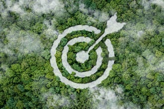 SBTi FLAG targets: how to tackle land-based emissions