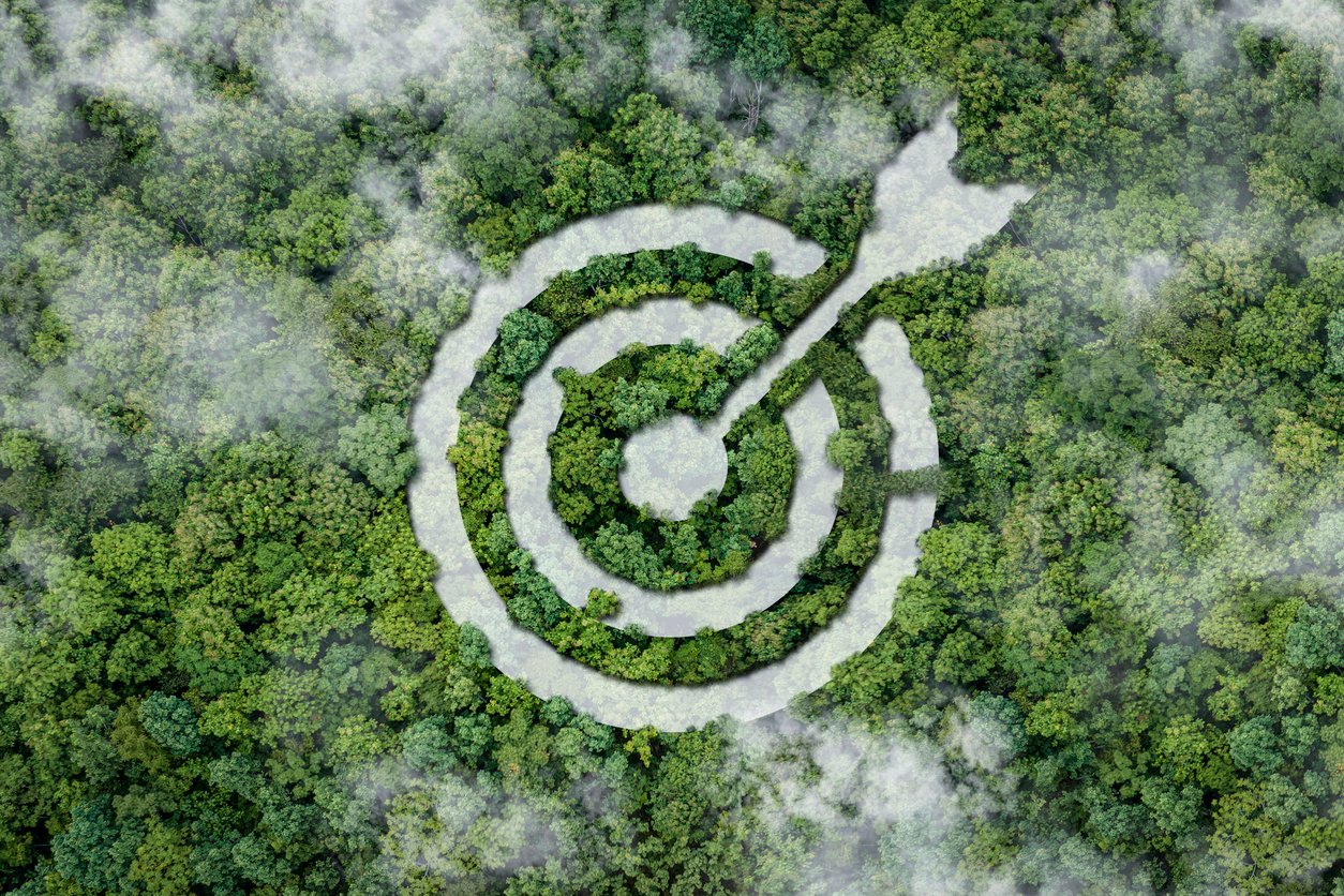 SBTi FLAG targets