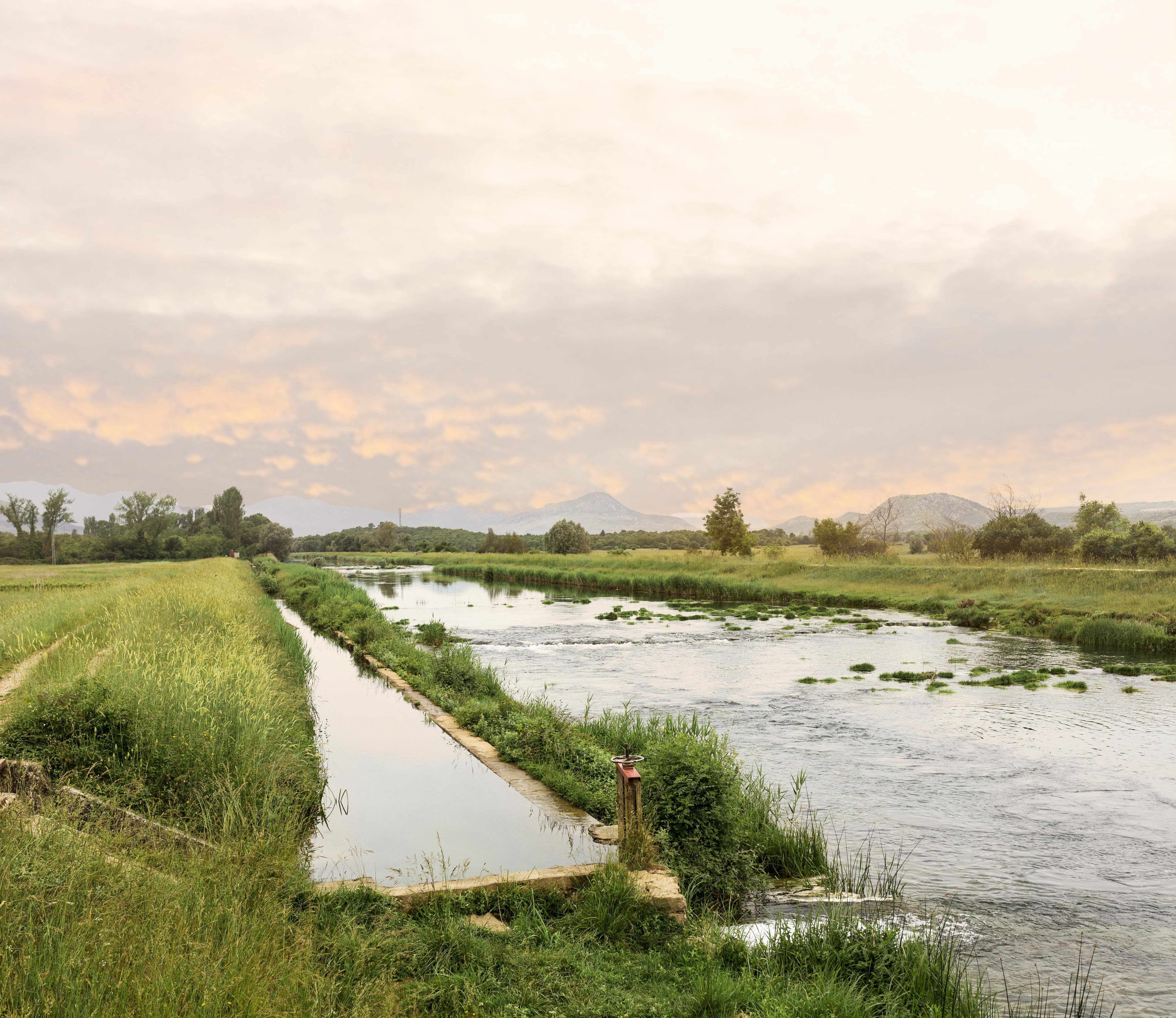 rural-concept-with-river-field