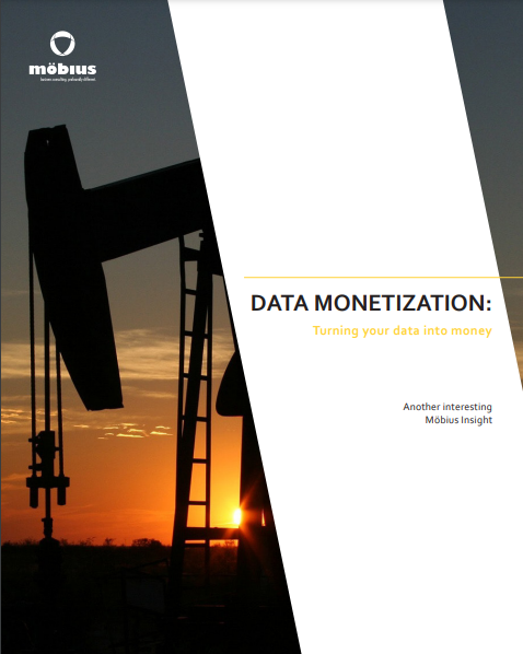 Mini-guide Data Monetisation_cover